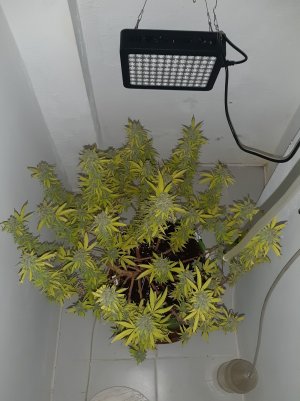 20221104_221111.jpg 20221104_221111.jpg