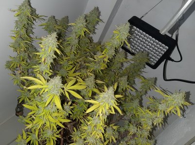 20221104_221041.jpg 20221104_221041.jpg