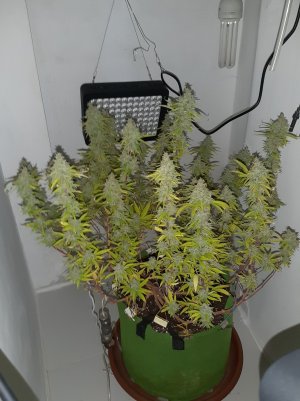 20221105_123512.jpg 20221105_123512.jpg