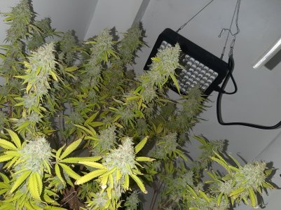 20221105_124245.jpg 20221105_124245.jpg