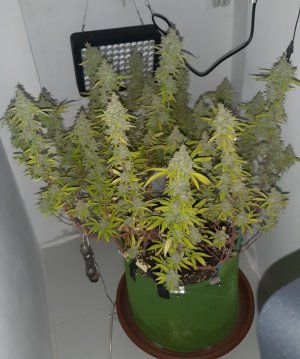 20221105_125256.jpg 20221105_125256.jpg