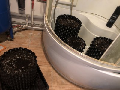 6298827F-2CDB-4021-B3E0-C0AD49348573.jpeg 6298827F-2CDB-4021-B3E0-C0AD49348573.jpeg