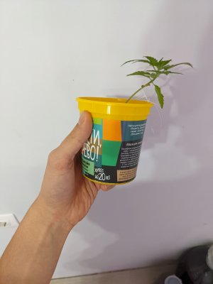 PXL_20221108_204405277.jpg PXL_20221108_204405277.jpg