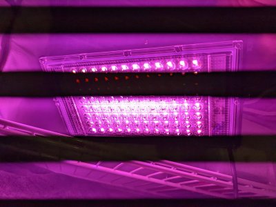 PXL_20221108_204350097.MP.jpg PXL_20221108_204350097.MP.jpg