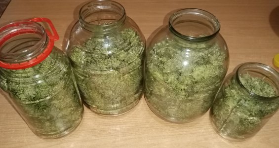 б вес.jpg б вес.jpg