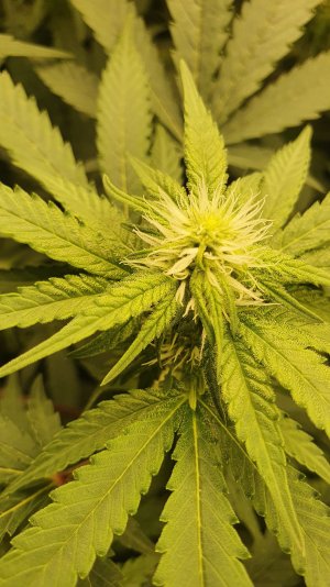 20221109_195937.jpg 20221109_195937.jpg