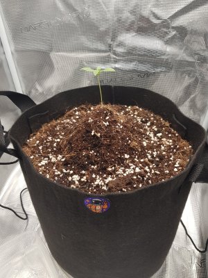 20221110_085609.jpg 20221110_085609.jpg