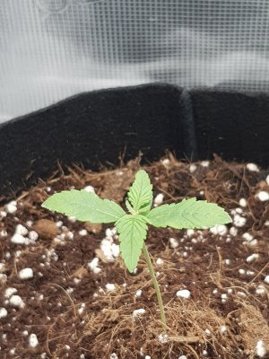 20221110_085703.jpg 20221110_085703.jpg