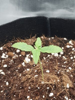 20221110_085746.jpg 20221110_085746.jpg