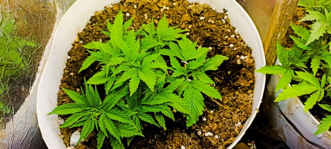 PSX_20221111_051250.jpg PSX_20221111_051250.jpg