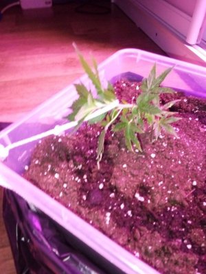 PSX_20221112_145108.jpg PSX_20221112_145108.jpg