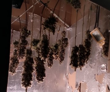 IMG_20221112_160534.jpg IMG_20221112_160534.jpg