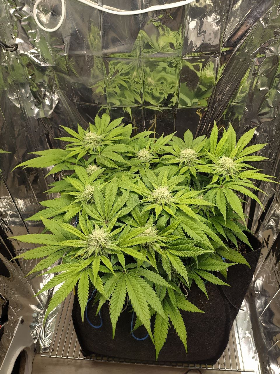 30 — копия.jpg 30 — копия.jpg