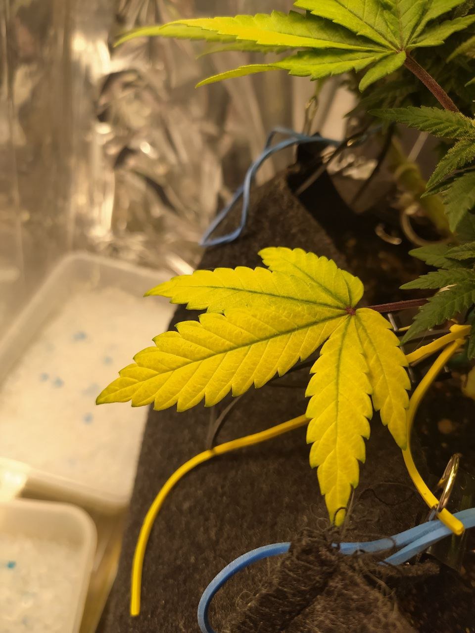 353 — копия.jpg 353 — копия.jpg