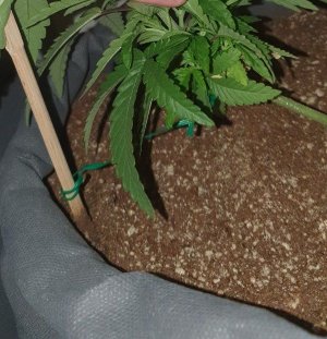 4444444444.jpg 4444444444.jpg