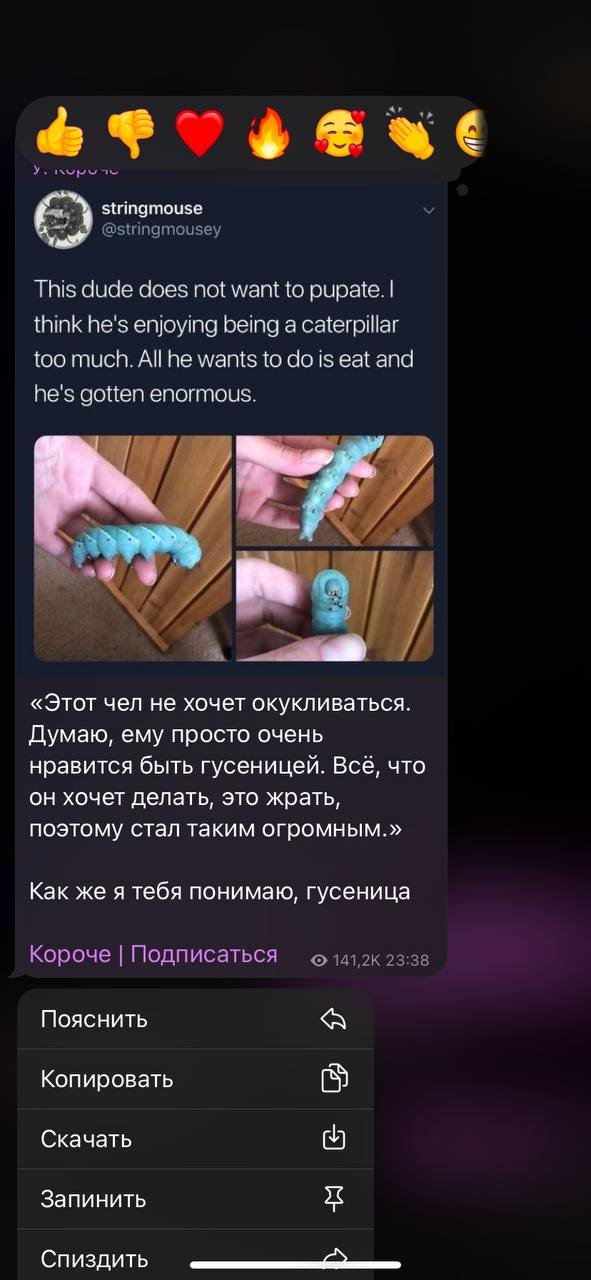 AE7CC02A-5D40-4F23-A5DA-3EF0894682C3.jpeg AE7CC02A-5D40-4F23-A5DA-3EF0894682C3.jpeg