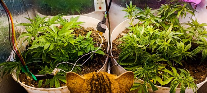 PSX_20221115_075957.jpg PSX_20221115_075957.jpg