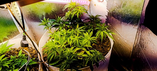 PSX_20221115_080020.jpg PSX_20221115_080020.jpg