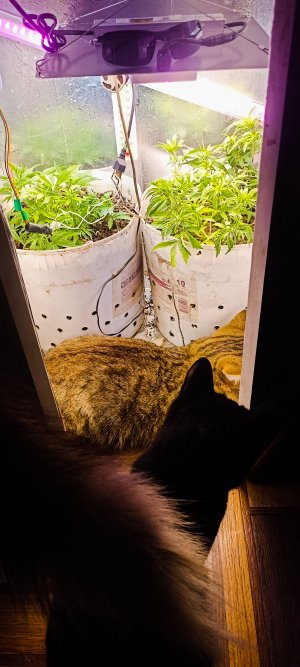 PSX_20221115_080147.jpg PSX_20221115_080147.jpg