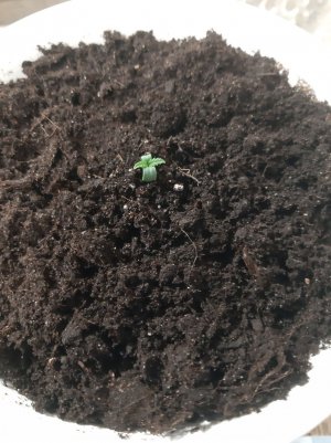 20221116_090209.jpg 20221116_090209.jpg