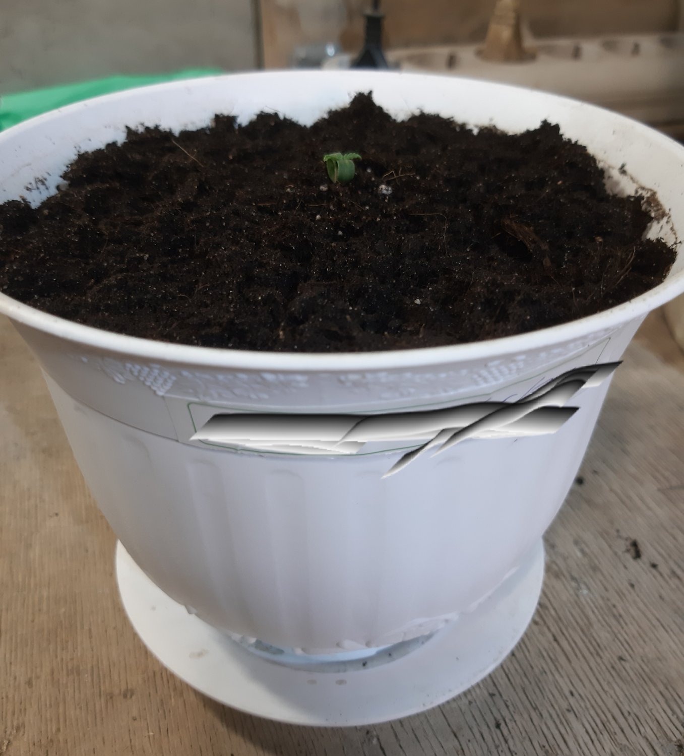 20221116_090245.jpg 20221116_090245.jpg