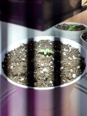 20221116_092441.jpg 20221116_092441.jpg