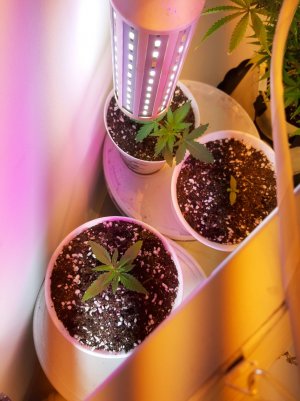 20221116_093433.jpg 20221116_093433.jpg