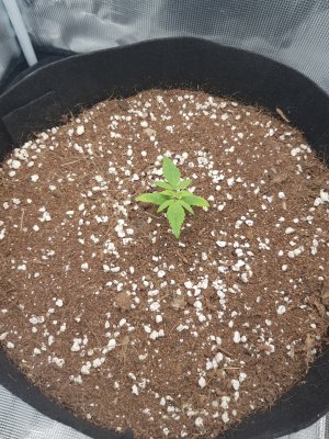 20221116_055906.jpg 20221116_055906.jpg