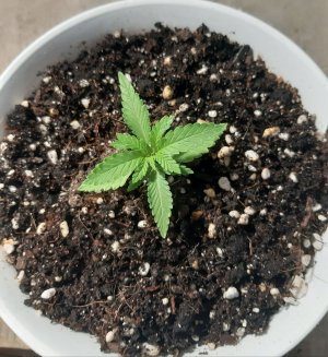 20221116_181430.jpg 20221116_181430.jpg