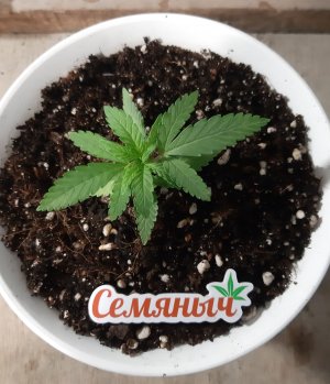 20221117_091346.jpg 20221117_091346.jpg