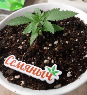 20221117_091238.jpg 20221117_091238.jpg