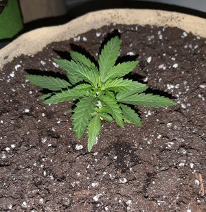 20221117_143148.jpg 20221117_143148.jpg