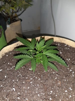 20221117_210410.jpg 20221117_210410.jpg