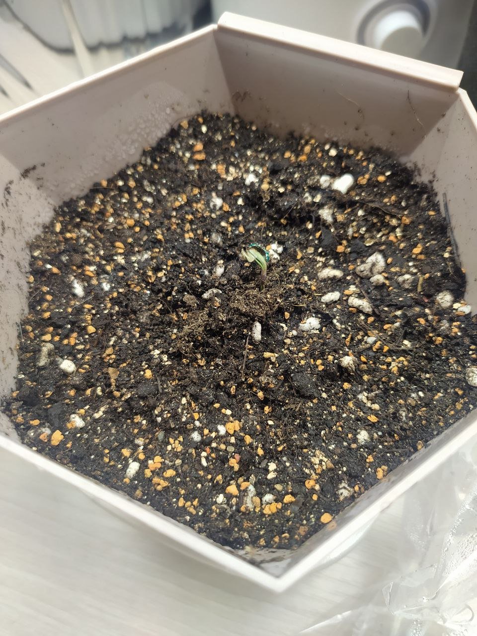 1 — копия.jpg 1 — копия.jpg