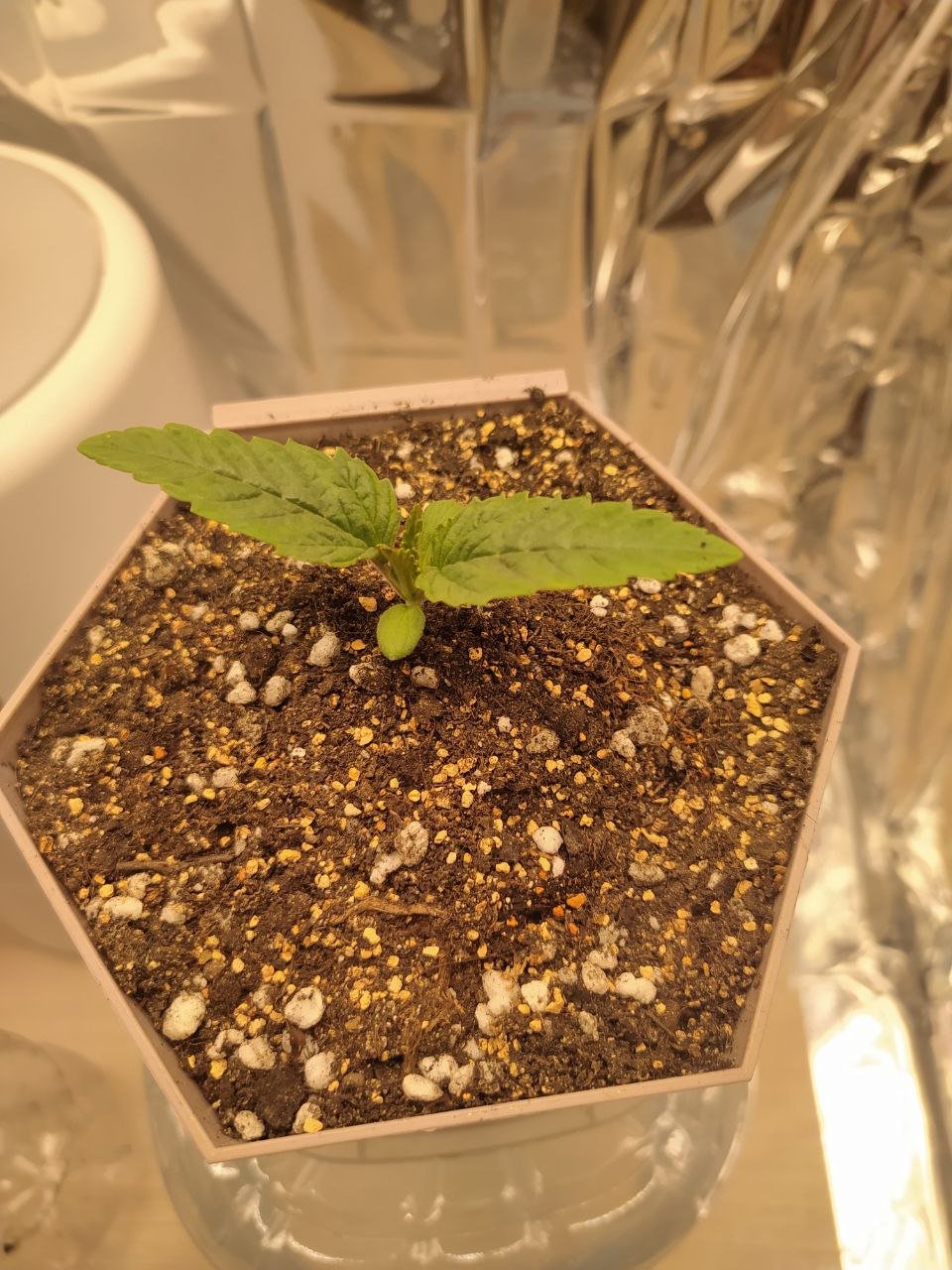 5 — копия.jpg 5 — копия.jpg