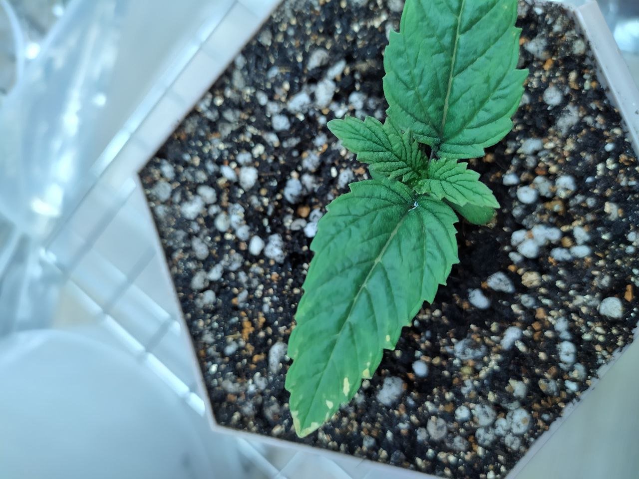 6 — копия.jpg 6 — копия.jpg