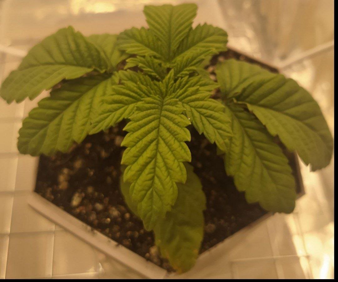 12 — копия.jpg 12 — копия.jpg