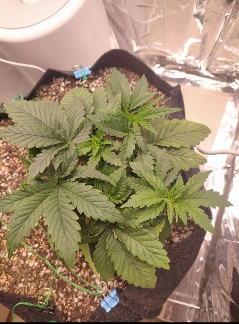 21 — копия.jpg 21 — копия.jpg