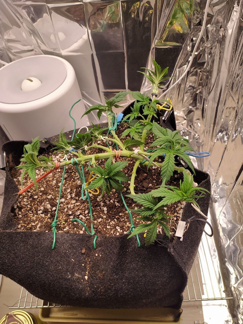 31 — копия.jpg 31 — копия.jpg