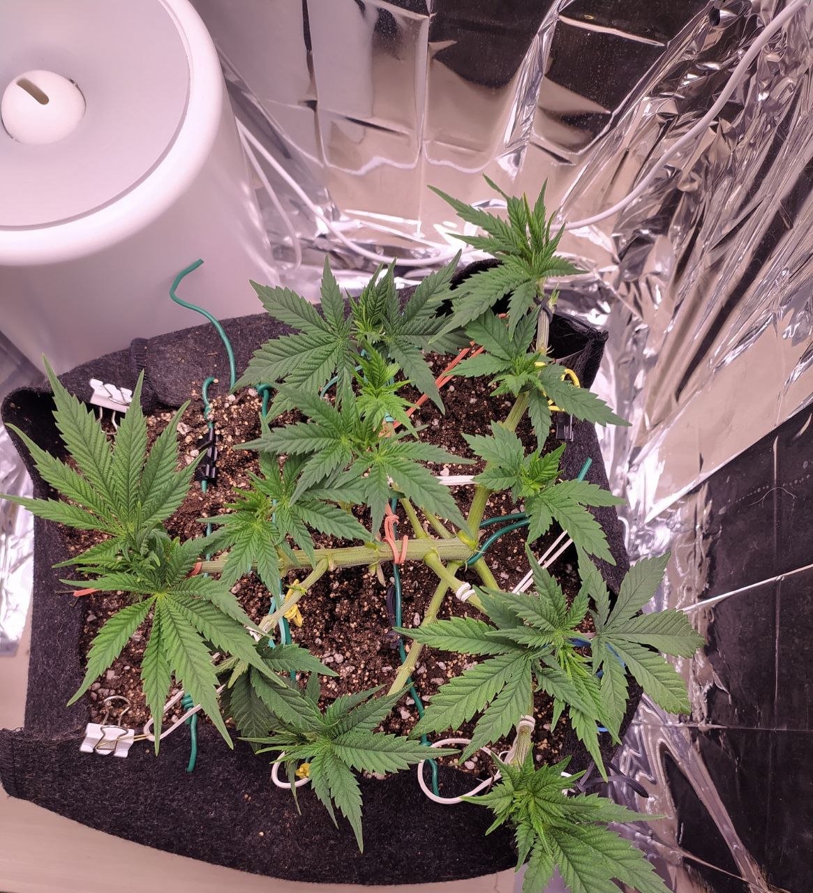 35 — копия.jpg 35 — копия.jpg