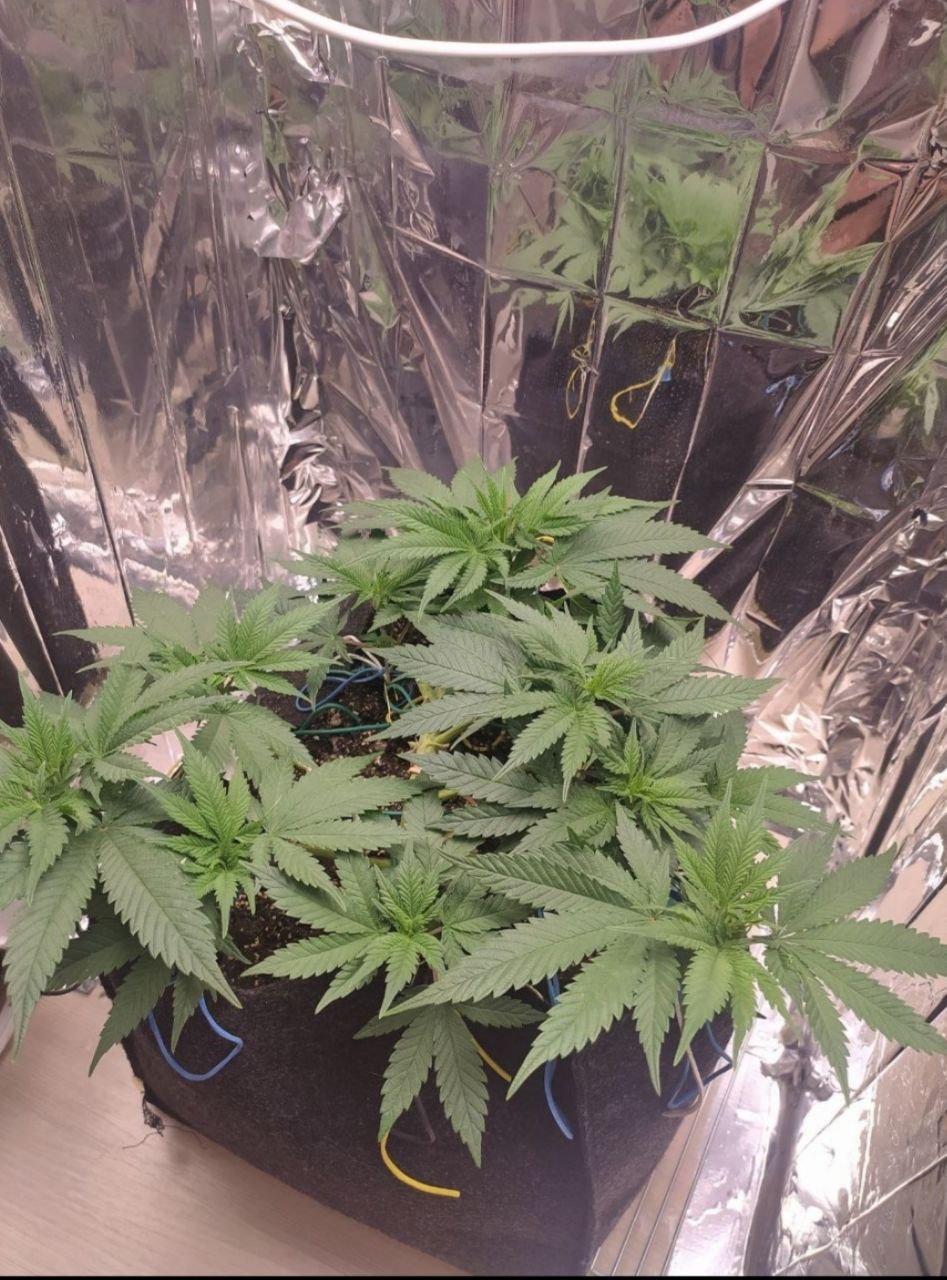 43 — копия.jpg 43 — копия.jpg