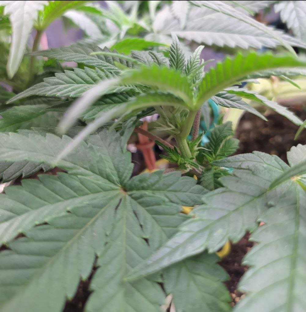 45 — копия.jpg 45 — копия.jpg