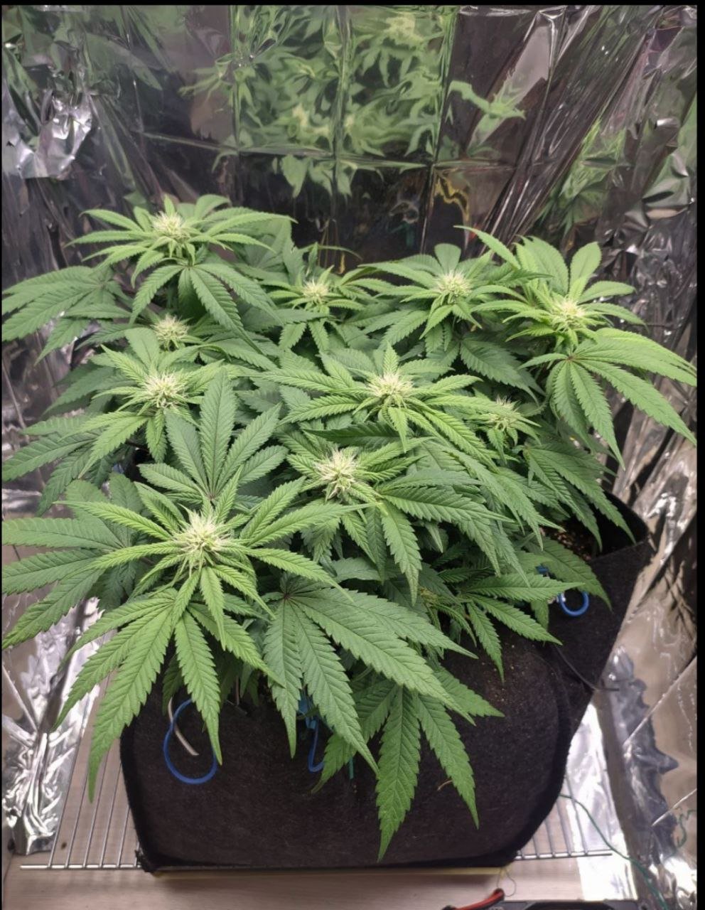 58 — копия.jpg 58 — копия.jpg