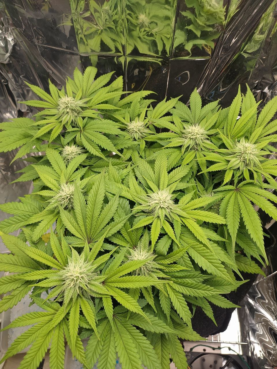 71 — копия.jpg 71 — копия.jpg