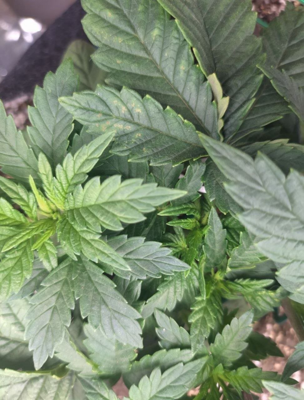 212 — копия.jpg 212 — копия.jpg