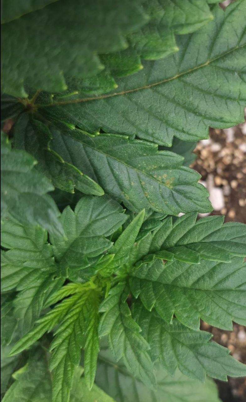 213 — копия.jpg 213 — копия.jpg