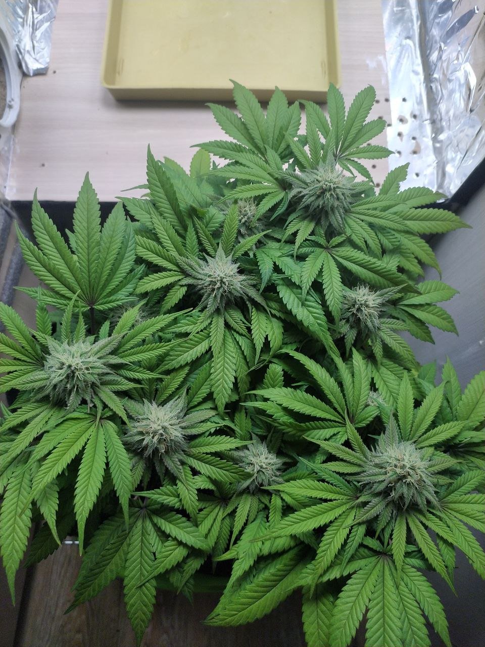 753 — копия.jpg 753 — копия.jpg