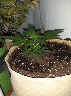 20221118_105925.jpg 20221118_105925.jpg