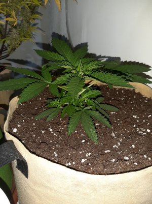 20221118_113928.jpg 20221118_113928.jpg