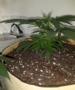 20221118_113823.jpg 20221118_113823.jpg